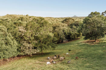 Listing image for 74 Camphor Road, PINBARREN  QLD  4568