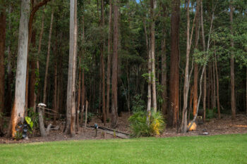 Listing image for 21 Arbour Place, Doonan  QLD  4562