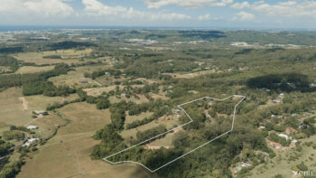 Listing image for 453 Diddillibah Road, Diddillibah  QLD  4559